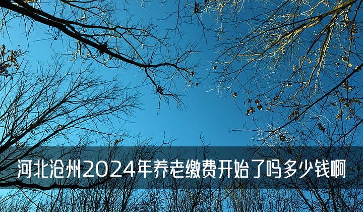 河北沧州2024年养老缴费开始了吗多少钱啊，多敉讲解3种轻松掌握的指南